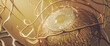 Artistic close up of human eye anatomy in gold with lights