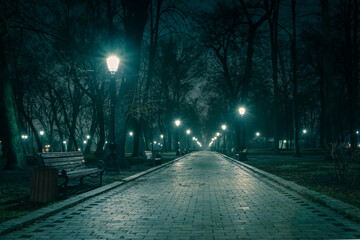 Poster - The main alley of a night early winter park in a light fog. Footpath in a fabulous late autumn city park at night with benches and latterns. Beautiful cold evening in Mariinsky Park. Kyiv, Ukraine.