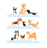 Fototapeta Pokój dzieciecy - A set of dogs in foam. Grooming. Flat design.
