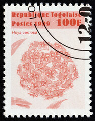 Sticker - Hoya carnosa flower (Togo 1999)