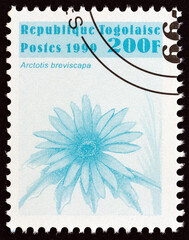 Sticker - Arctotis breviscapa flower (Togo 1999)