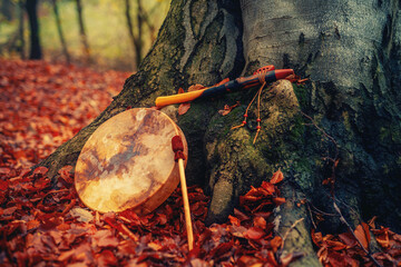 shaman drum and flute in forest on moss tree.