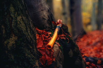 shaman flute in forest on moss tree.