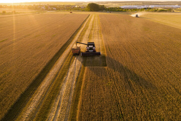 Autocollant - Combine harvester on the field at sunset. Aerial view	