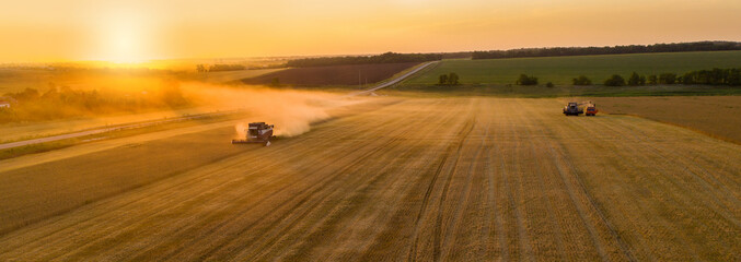 Poster - Combine harvester on the field at sunset. Aerial view	
