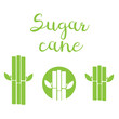 Sugar cane vector. sugarcane icon isolated
