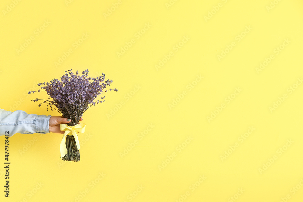 Female hand with beautiful lavender flowers on color background
