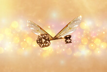 Magical Flying Key Meaning With Dragonfly Wings