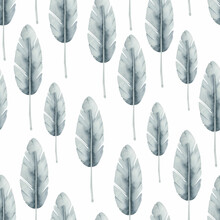 Blue Grey Feather Watercolor Seamless Pattern 