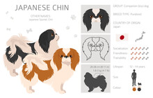 Japanese Chin Clipart. Different Poses, Coat Colors Set
