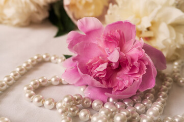 Wall Mural - Spring. Spring flowers peonies with pearls. Beautiful bright background.