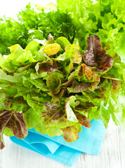 Sticker - Mixed lettuce in a bowl