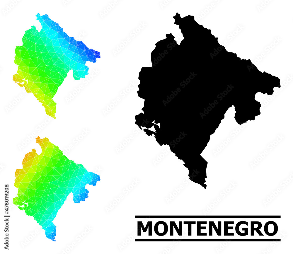 Vector low-poly spectral colored map of Montenegro with diagonal ...