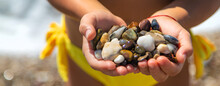 A Child On The Beach Holds Sea Stones In Her Hands. Selective Focus.