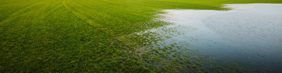 Green plowed agricultural field after a spring flood. Natural texture. Panoramic image, graphic resources. Climate change, global warming, ecology, farming, country living concepts