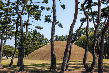 Wall Mural - the beautiful view of  royal tumb, Gyeongju, Korea