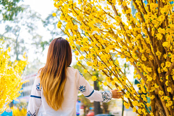 Vietnamese girl standing and posing by the side of Ochna Integerrima (Hoa Mai) on a sunny day at Ho Chi Minh City, Vietnam