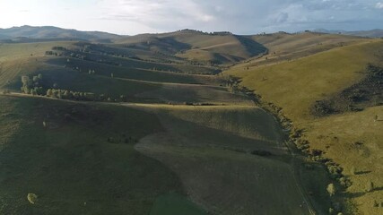 Wall Mural - Drone view of autumn meadow hiils and forest. Aerial nature shot. Altai regoin, Russia