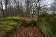 © Stephan Dinges - Steinkistengrab auf dem Hartberg bei Schankweiler