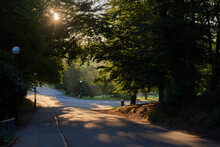 The Early Morning Sun Is Shining Through The Leafs In Some Trees Down A Road In A Park