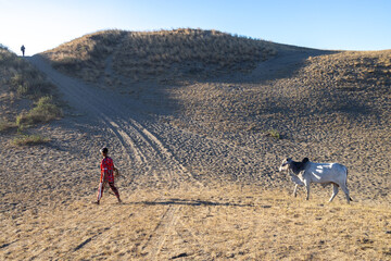 Wall Mural - beautiful landscape at Laoag City Sand dunes