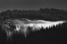 Clouds Of Mist Move Through A Forest Landscape