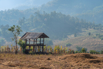 Wall Mural - Scenic autumn rural landscape view with field hut and morning haze in agricultural mountain valley, Chiang Dao, Chiang Mai, Thailand