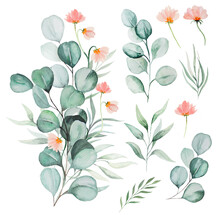 Watercolor Pink Flowers And Green Eucalyptus Leaves Bouquet Illustration