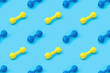 Colorful pattern of cats and dogs toys on bright blue background
