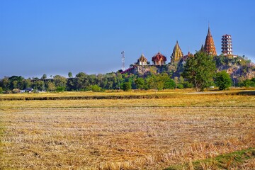 Canvas Print - temple in Thailand 