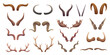 Horns collection. Buffalo rams sheep animal head anatomic parts exact vector collection set
