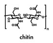 Chitin, chemical structure. Chitin is a polymer of N-acetylglucosamine and is present in the exoskeletons of insects, crustaceans, etc. Skeletal formula.
