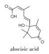 Abscisic acid plant stress molecule. Skeletal formula.