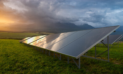 Wall Mural - Photovoltaic farm during sunset