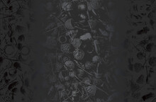 Luxury Black Metal Gradient Background With Distressed Closeup Oak Acorn Texture.
