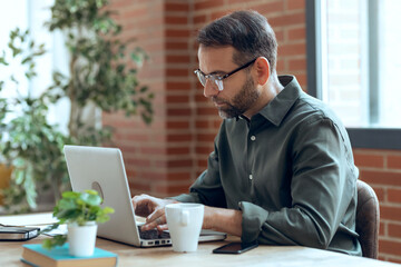 Mature handsome business man working with laptop in the office.