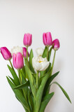 Fototapeta Tulipany - Beautiful spring bouquet with pink and white tulips on a white background. Spring, 8 March, birthday. Postcard, place for an inscription.
