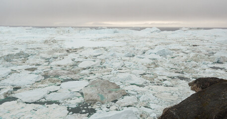 Wall Mural - climate change. iceberg from glacier in arctic nature landscape on greenland. icebergs in ilulissat 