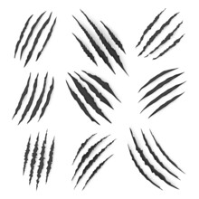 Dragon, Bear Or Tiger Claw Marks And Torn Scratches, Vector. Cracks Form Animal Claw Scratches, Wild Beast Paw Marks With Sharp Fissures Texture, Damaged Breaks And Hollow Scraps, Black On White