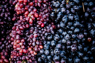 Wall Mural - A variety of grapes that the hill tribes sell in the Muser market, Tak Province, Thailand.