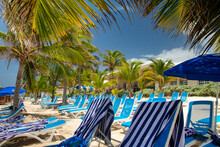 Lounge Chairs On The Beach With Palm Trees In The Caribbean Islands