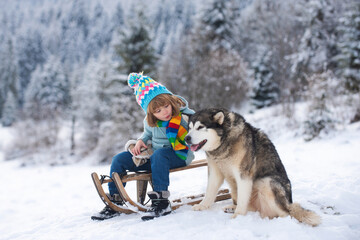 Wall Mural - Winter knitted kids clothes. Boy sledding in a snowy forest with dog husky. Outdoor winter fun for Christmas vacation.