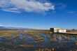 paddy fields in winter after harvest. typical white cottage of the ebro delta. Tarragona. Catalonia