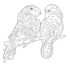 Contour Linear Illustration For Coloring Book With Two Pretty Birds. Beautiful Cute Couple,  Anti Stress Picture. Line Art Design For Adult Or Kids  In Zen-tangle Style, Tattoo And Coloring Page