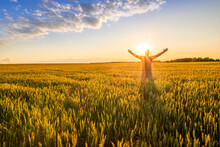 Man Looking At Beautiful Sunset And Feeling Joy In A Wheaten Shiny Field With Golden Wheat And Sun Glow On The Background, Amazing Sky And Rows Of Wheat Leading Far Away, Valley Landscape