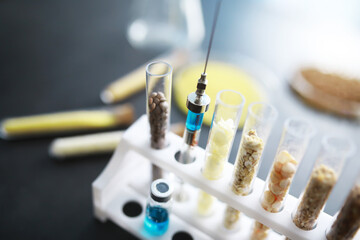 Wall Mural - Research Analyzing Agricultural Grains And seeds In The Laboratory. Test tubes with seeds of selection plants.