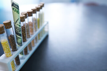 Wall Mural - Research Analyzing Agricultural Grains And seeds In The Laboratory. Test tubes with seeds of selection plants.