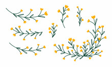 Colored Line Art Flower Set. Doodle Branches With Small Yellow Bells. Floristic Collection Of Wild Flowers.