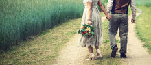 Wedding Couple, Bride And Groom Holding Hands And Walks The Country Road Beside Cereal Field. Back View Copy Space