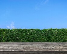 Wooden Table Terrace With Green Grass Wall Texture And Bright Blue Sky